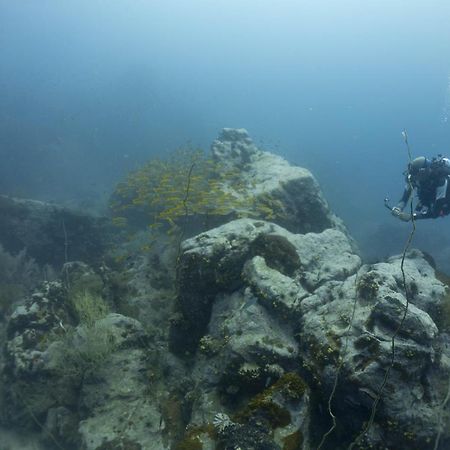 Divers House كو تاو المظهر الخارجي الصورة