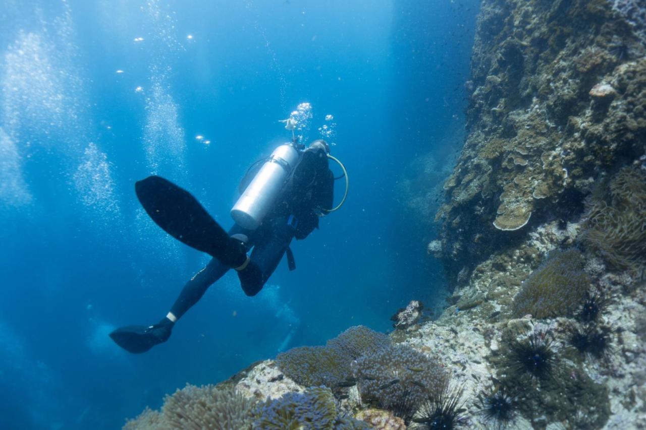 Divers House كو تاو المظهر الخارجي الصورة