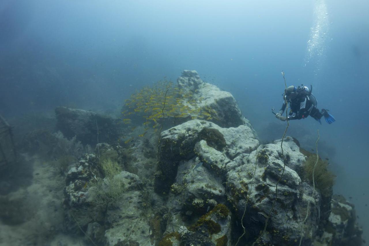 Divers House كو تاو المظهر الخارجي الصورة